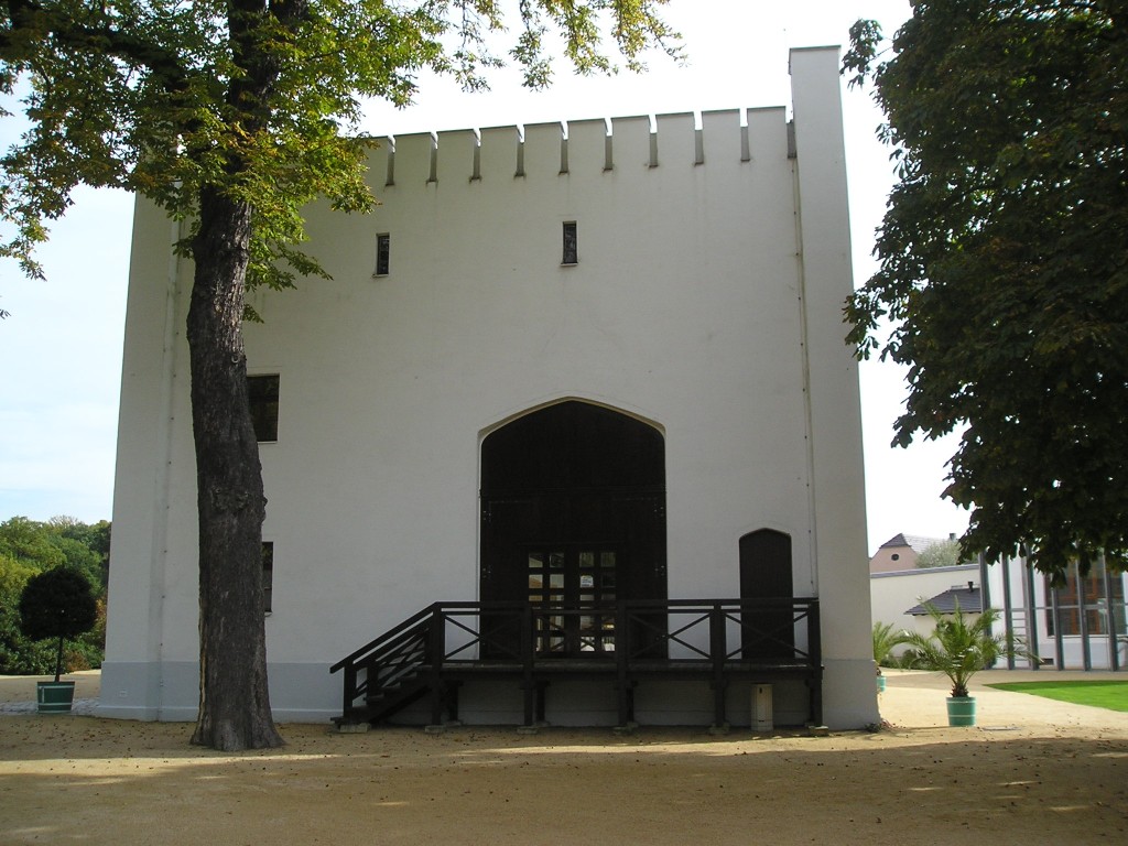 P1010457.jpg