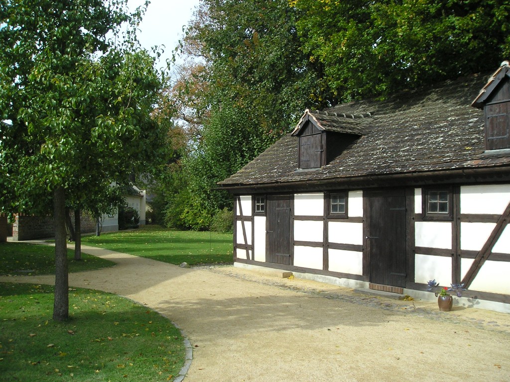 P1010458.jpg