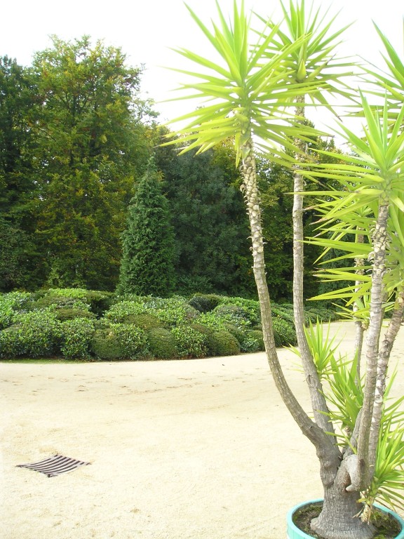 P1010463.jpg