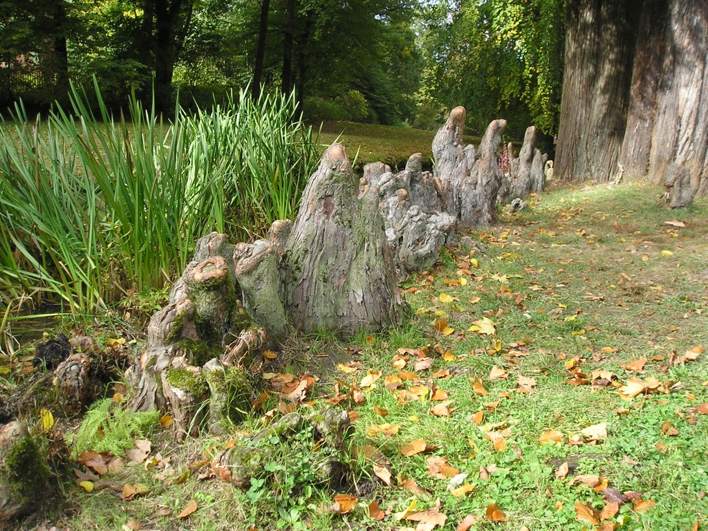 P1010470.jpg