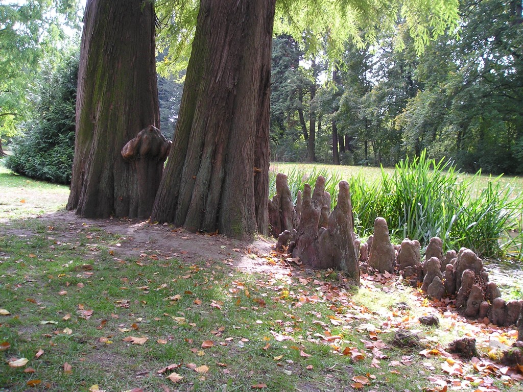 P1010471.jpg