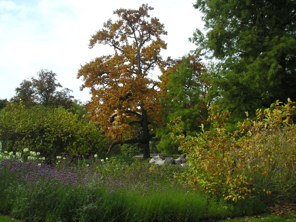 P1010479.jpg
