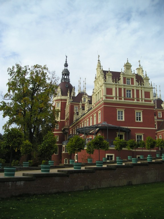 P1010485.jpg