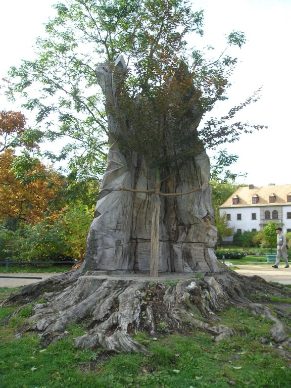 P1010489.jpg