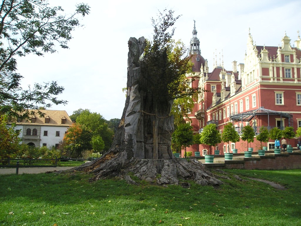 P1010490.jpg