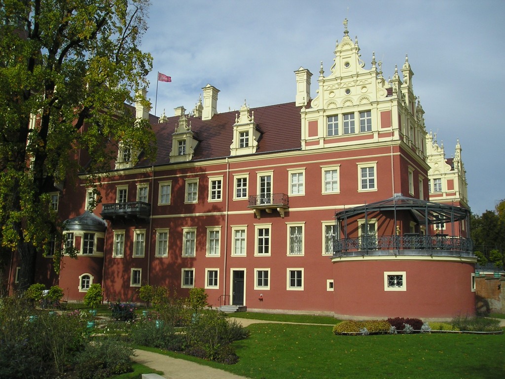 P1010498.jpg
