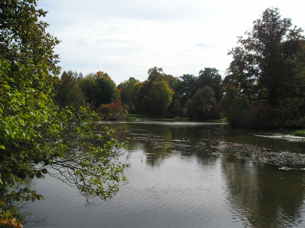 P1010500.jpg
