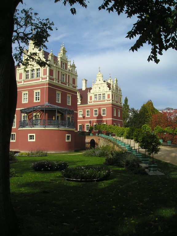 P1010502.jpg