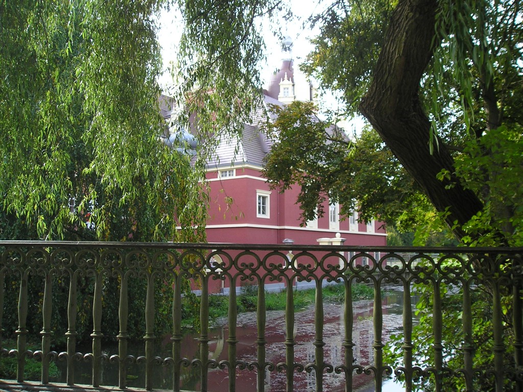 P1010511.jpg