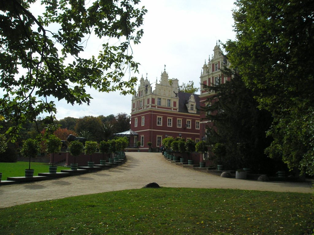 P1010514.jpg