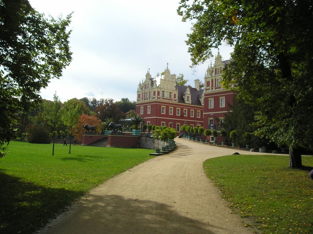 P1010520.jpg