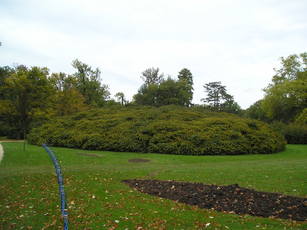 P1010524.jpg