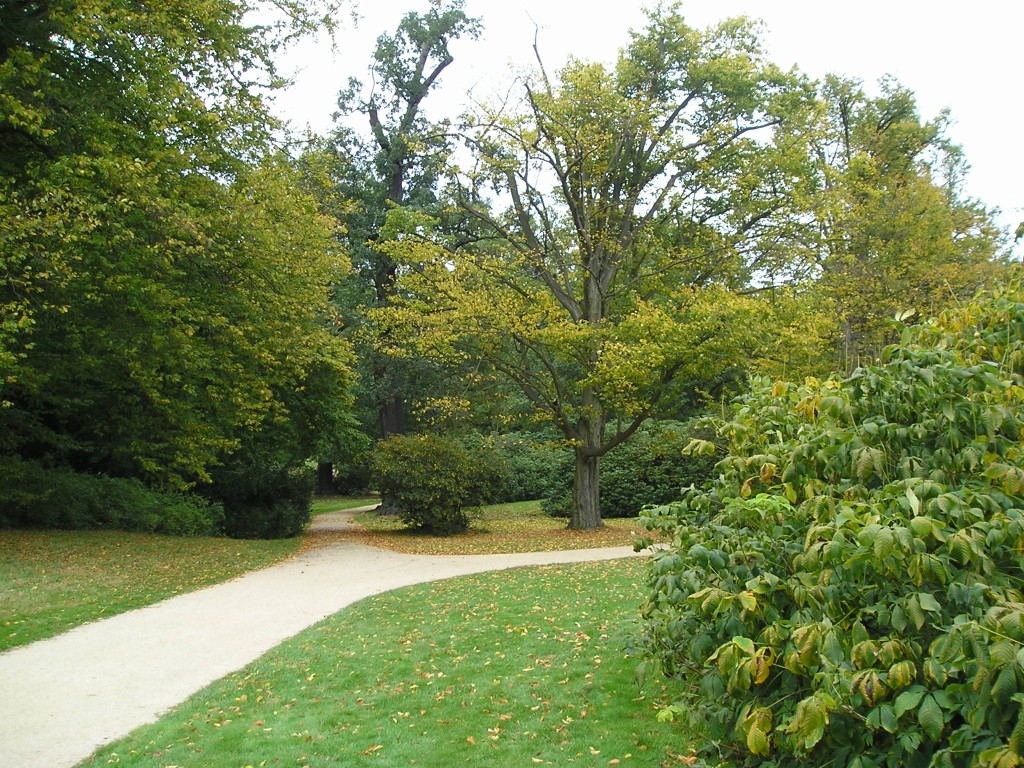P1010525.jpg