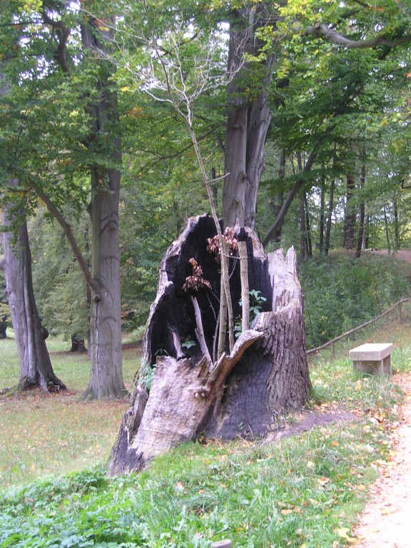 P1010535.jpg