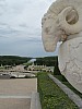 IMG_0782.jpg