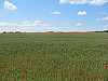 IMG_0844.jpg