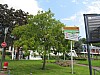 IMG_0864.jpg