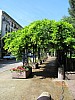 IMG_0872.jpg
