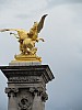 IMG_1002.jpg