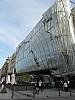 IMG_1025.jpg