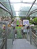 IMG_1045.jpg