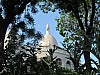 IMG_1065.jpg