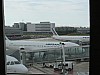 IMG_1074.jpg