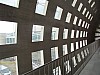 IMG_1075.jpg