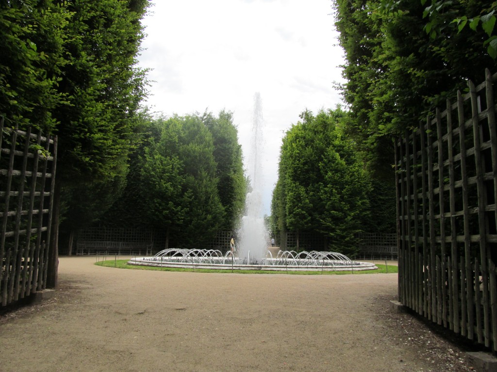 IMG_0800.jpg