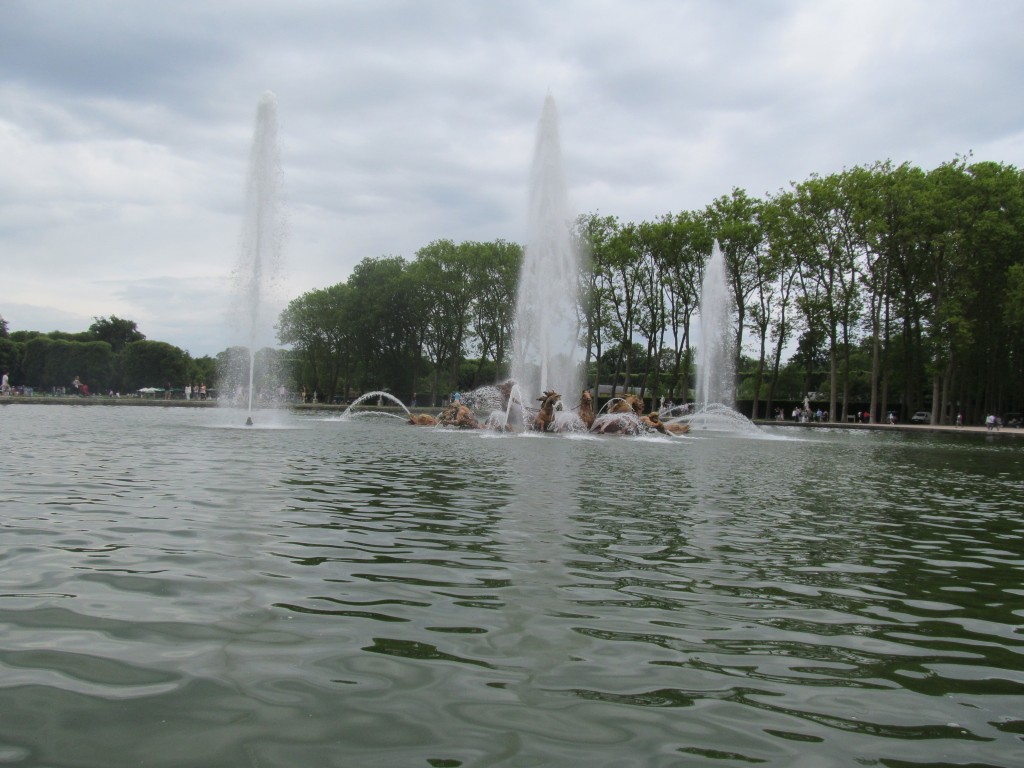 IMG_0815.jpg