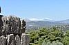 DSC_0029.jpg