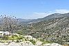 DSC_0039.jpg