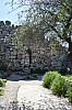 DSC_0056.jpg