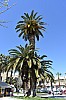 DSC_0091.jpg