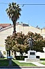 DSC_0095.jpg