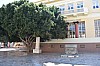 DSC_0106.jpg