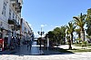 DSC_0123.jpg