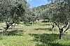 DSC_0145.jpg