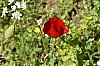 DSC_0146.jpg