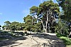 DSC_0147.jpg