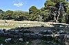 DSC_0148.jpg
