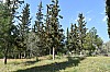 DSC_0160.jpg