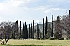 DSC_0162.jpg
