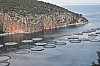 DSC_0165.jpg