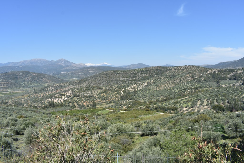 DSC_0017.jpg
