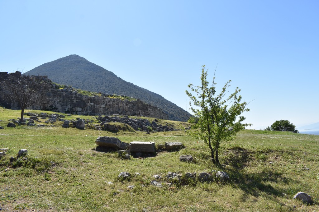 DSC_0019.jpg