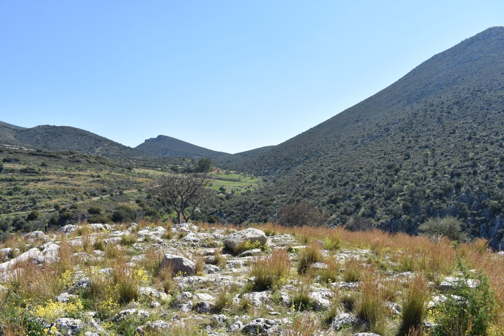 DSC_0041.jpg