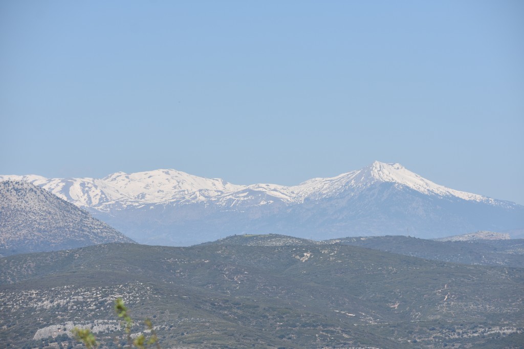DSC_0047.jpg