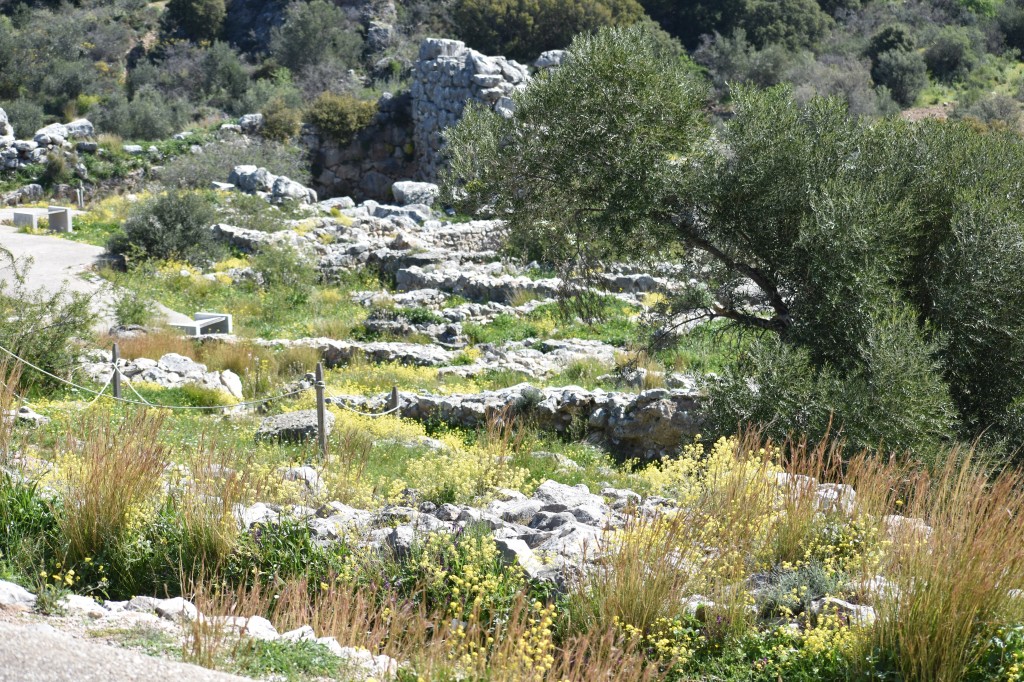 DSC_0050.jpg