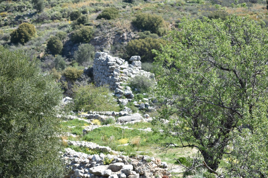DSC_0051.jpg